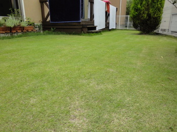 20110703_lawn.JPG